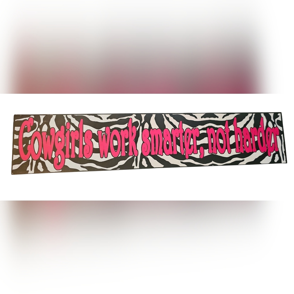 WESTERN - NIB Metal Wall Sign - Cowgirl Pink and Black Striped